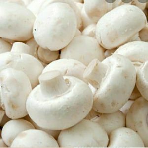 Mushroom 250gram