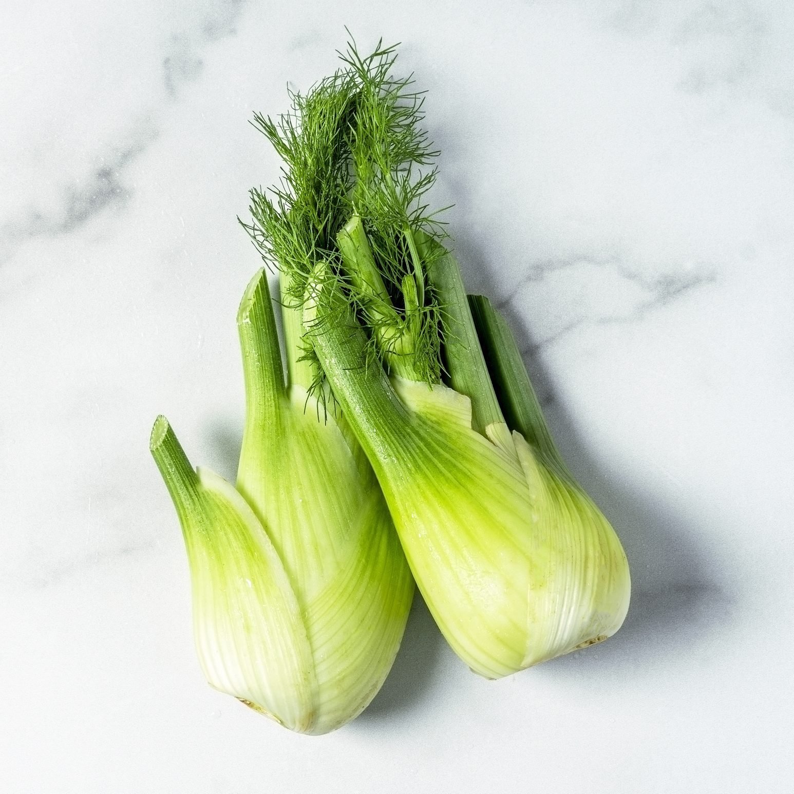 fennel bulb imp | Farmboy Fiji
