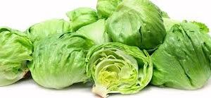 lettuce iceburg