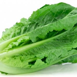 cos lettuce/romine lettuce