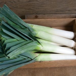 Leek-Imp