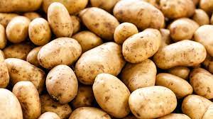 potatoe-imp normal