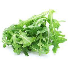 Rocket Lettuce imp